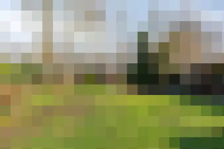 Het Erf 91 Biddinghuizen thumbnail 4