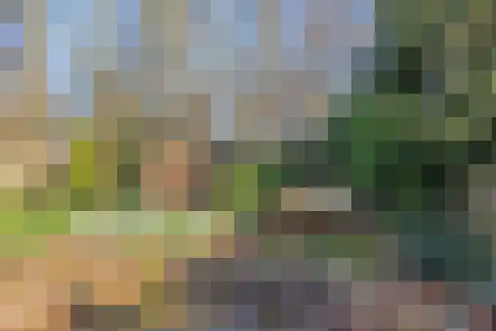 Het Erf 91 Biddinghuizen thumbnail 40