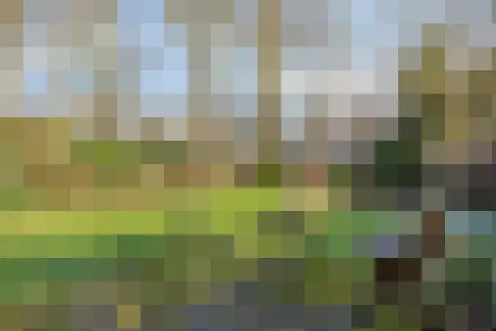 Het Erf 91 Biddinghuizen thumbnail 43