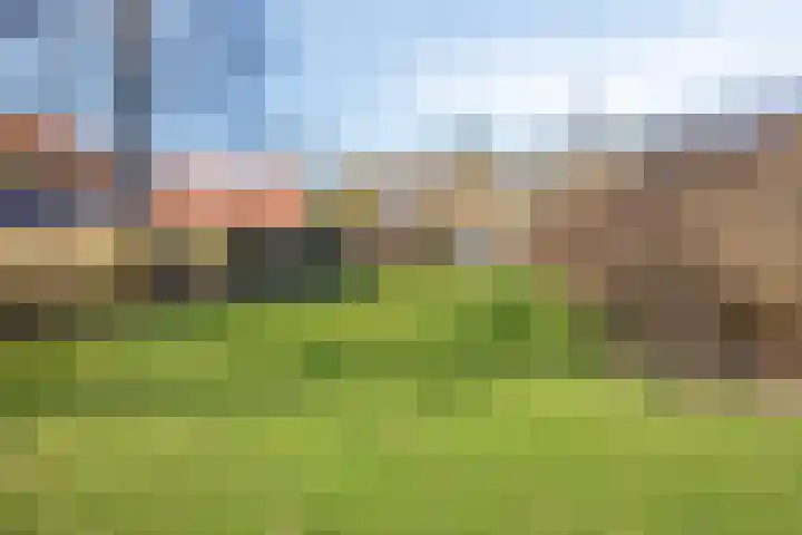 Het Erf 91 Biddinghuizen thumbnail 46