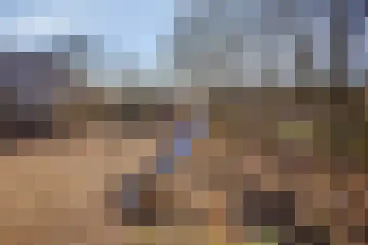 Het Erf 91 Biddinghuizen thumbnail 47