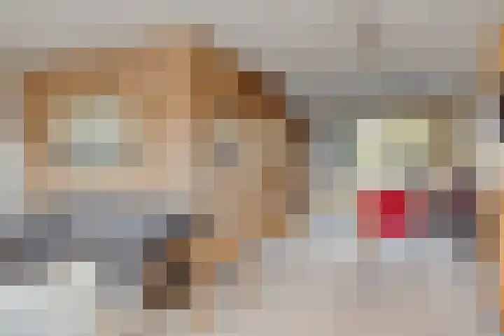 Het Erf 91 Biddinghuizen thumbnail 9