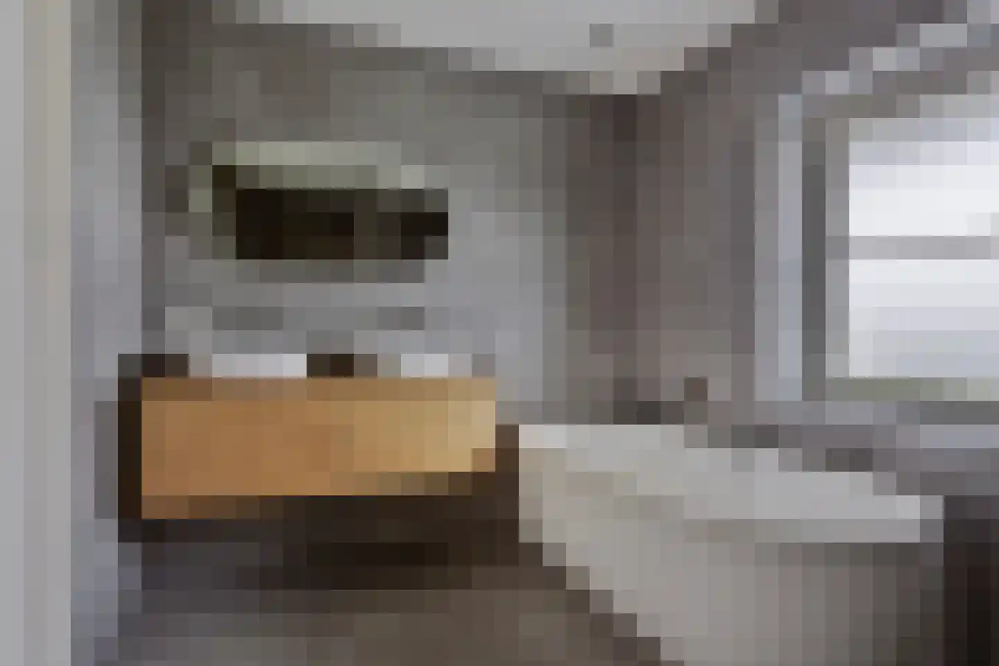 Het Everloo 35 Lelystad thumbnail 20