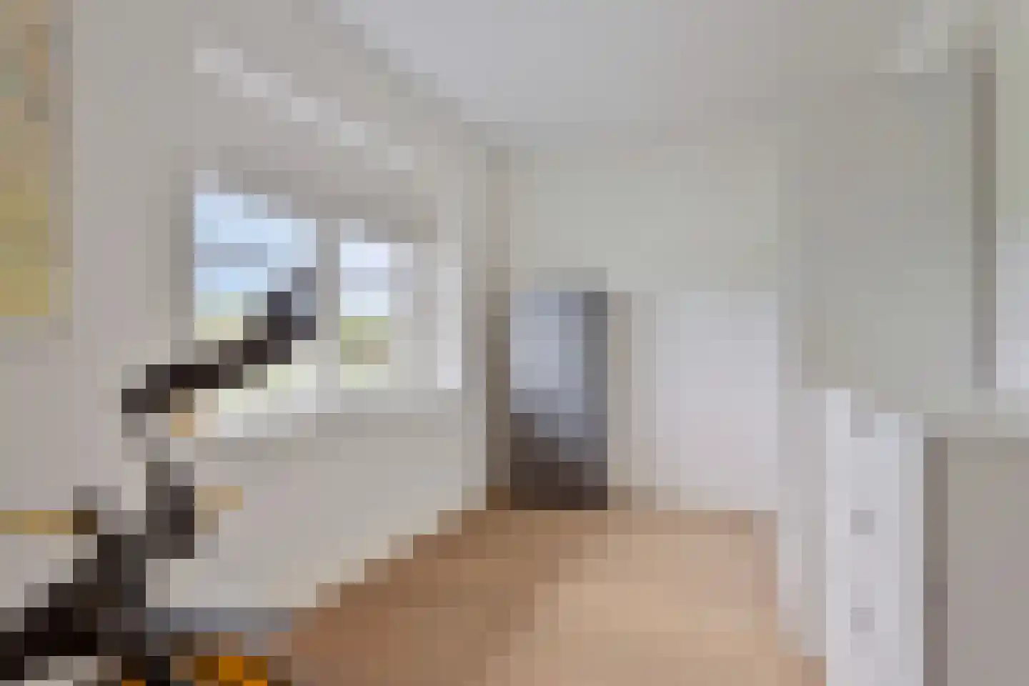 Het Everloo 35 Lelystad thumbnail 22