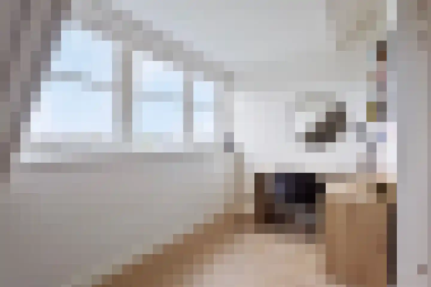 Het Everloo 35 Lelystad thumbnail 25