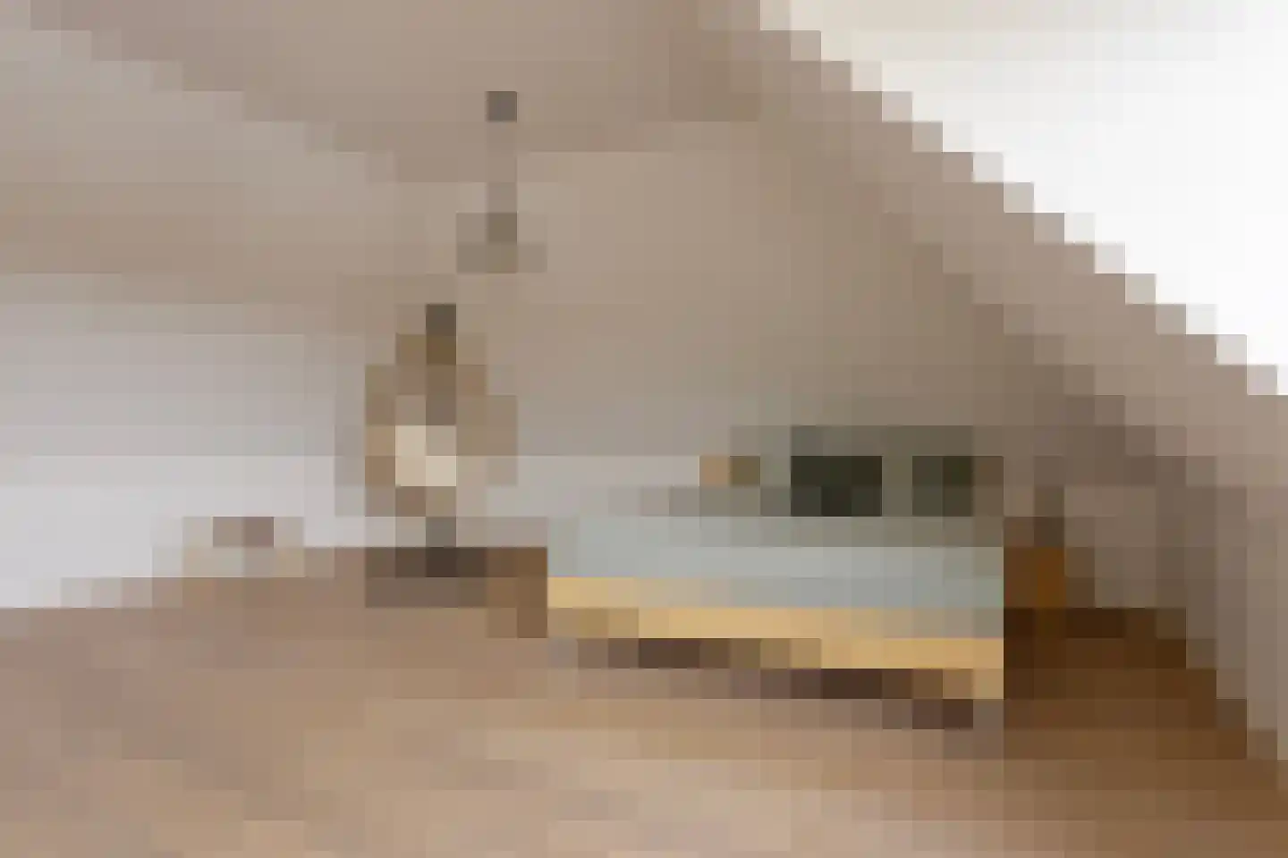 Het Everloo 35 Lelystad thumbnail 26