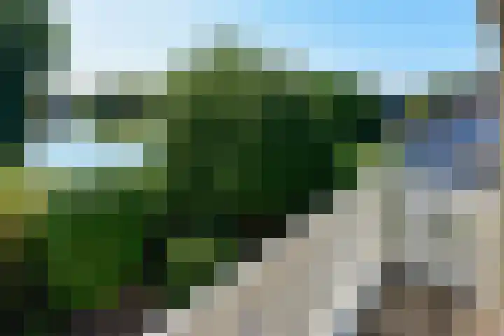 Het Fort 12 De Kwakel thumbnail 26