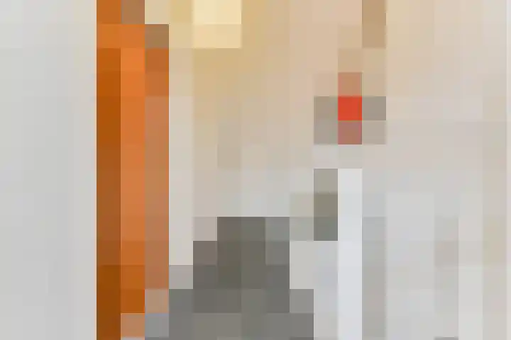 Het Fortuyn 49 Hoogland thumbnail 34