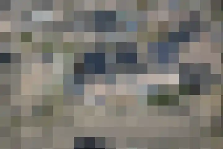 Het Fortuyn 49 Hoogland thumbnail 41