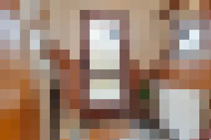 Het Frans Brugske 24 Gemert thumbnail 10