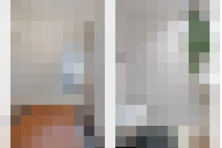 Het Frans Brugske 24 Gemert thumbnail 11