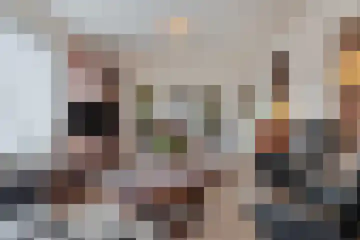 Het Frans Brugske 24 Gemert thumbnail 13