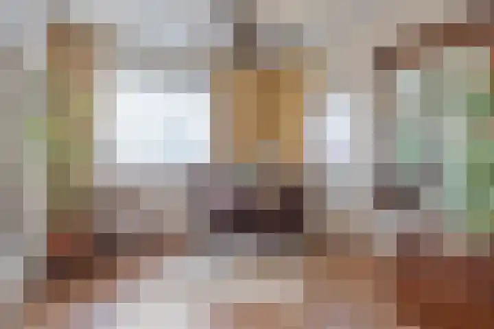 Het Frans Brugske 24 Gemert thumbnail 14