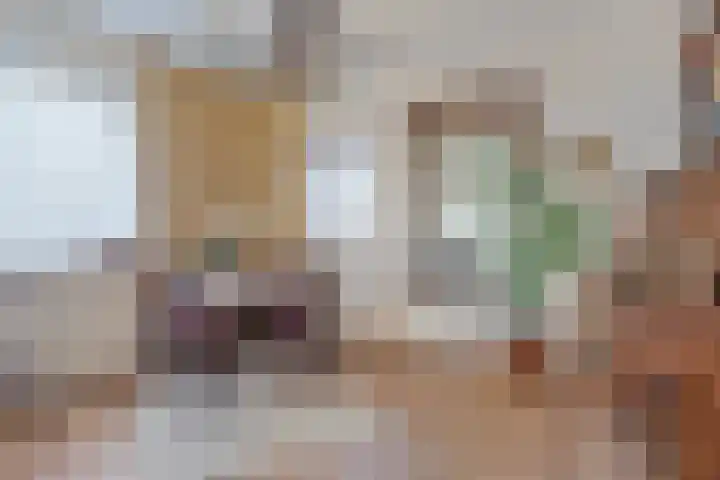 Het Frans Brugske 24 Gemert thumbnail 15