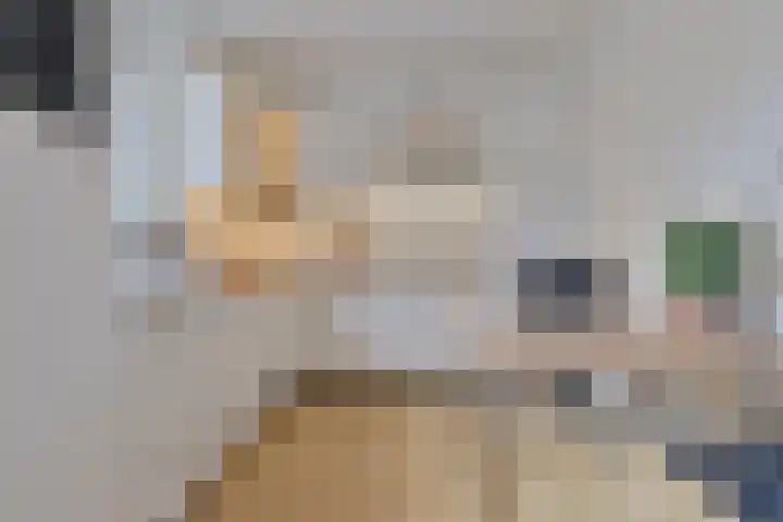 Het Frans Brugske 24 Gemert thumbnail 16