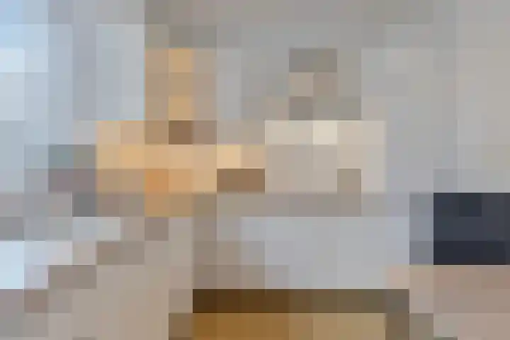 Het Frans Brugske 24 Gemert thumbnail 17