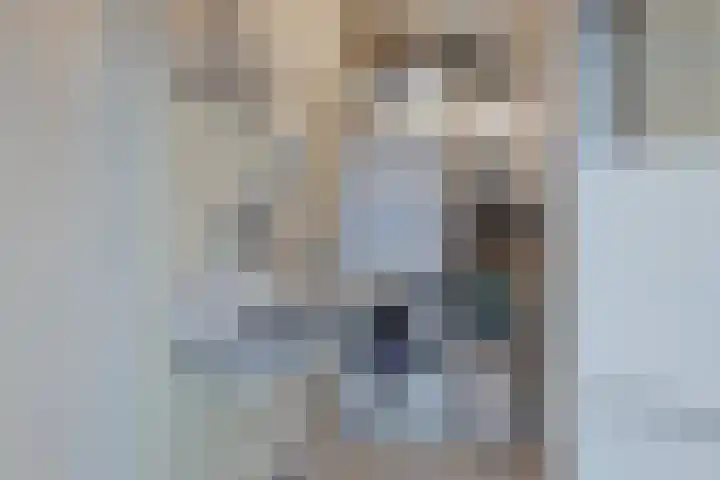 Het Frans Brugske 24 Gemert thumbnail 19