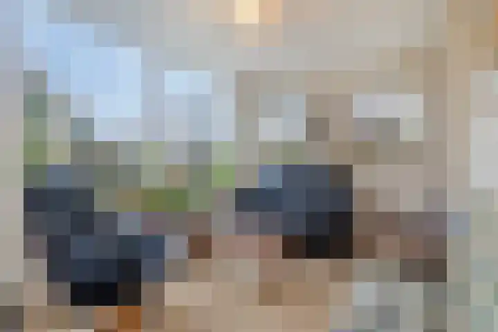 Het Frans Brugske 24 Gemert thumbnail 20