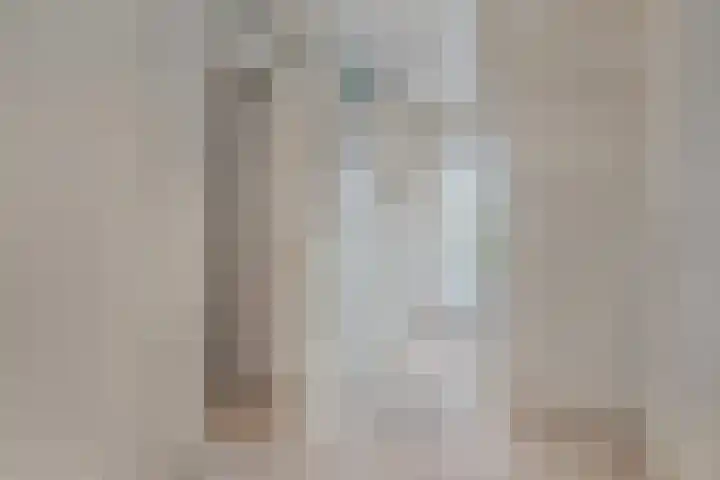 Het Frans Brugske 24 Gemert thumbnail 21