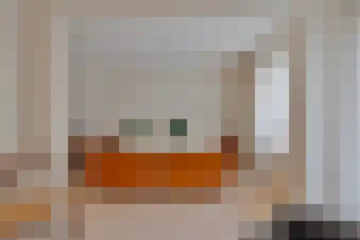 Het Frans Brugske 24 Gemert thumbnail 22