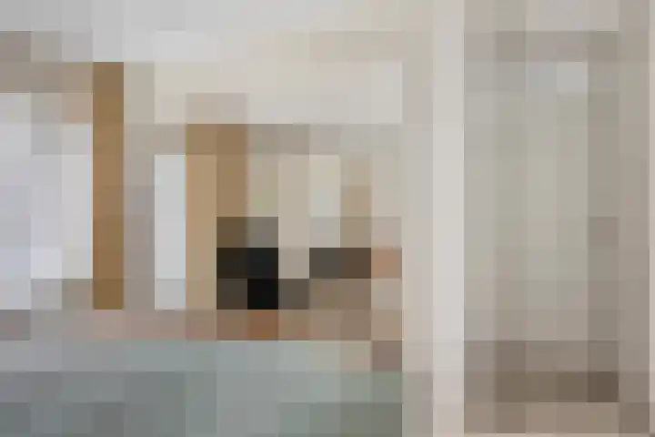 Het Frans Brugske 24 Gemert thumbnail 23