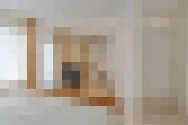 Het Frans Brugske 24 Gemert thumbnail 24