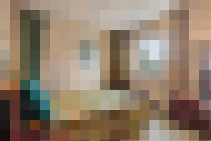 Het Frans Brugske 24 Gemert thumbnail 25