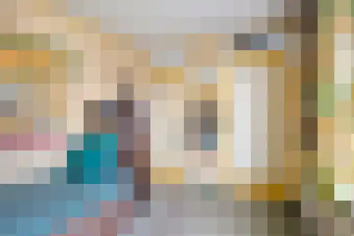 Het Frans Brugske 24 Gemert thumbnail 26