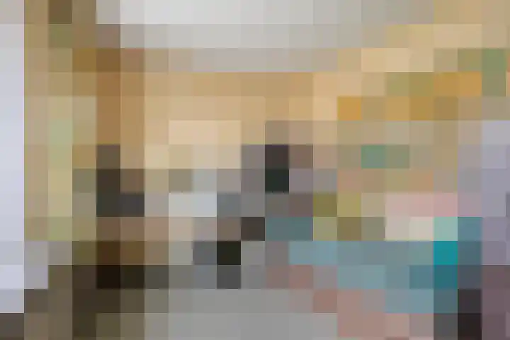 Het Frans Brugske 24 Gemert thumbnail 27