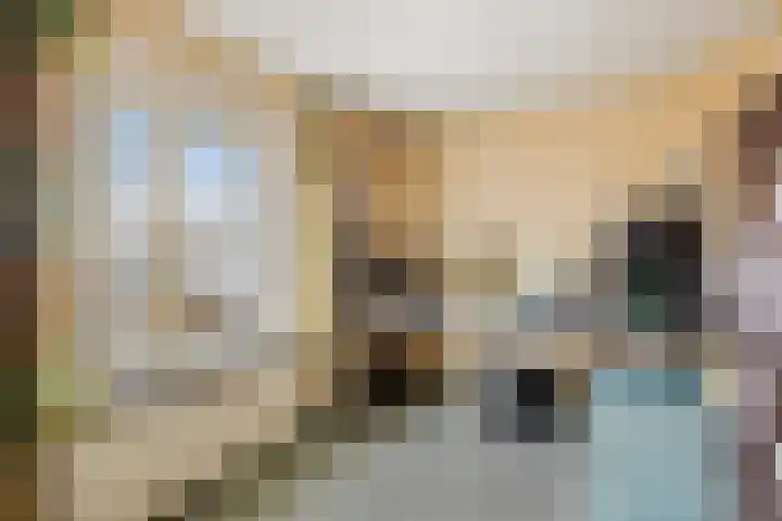 Het Frans Brugske 24 Gemert thumbnail 28