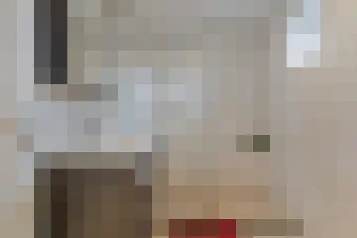 Het Frans Brugske 24 Gemert thumbnail 29