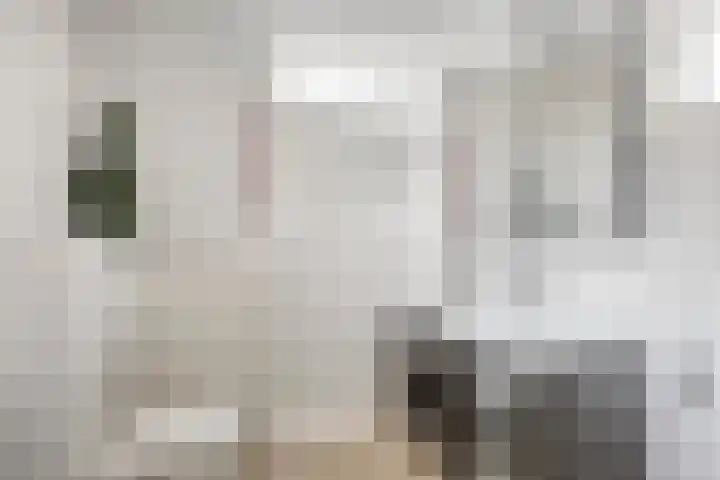 Het Frans Brugske 24 Gemert thumbnail 30
