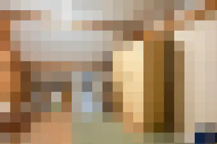 Het Frans Brugske 24 Gemert thumbnail 31
