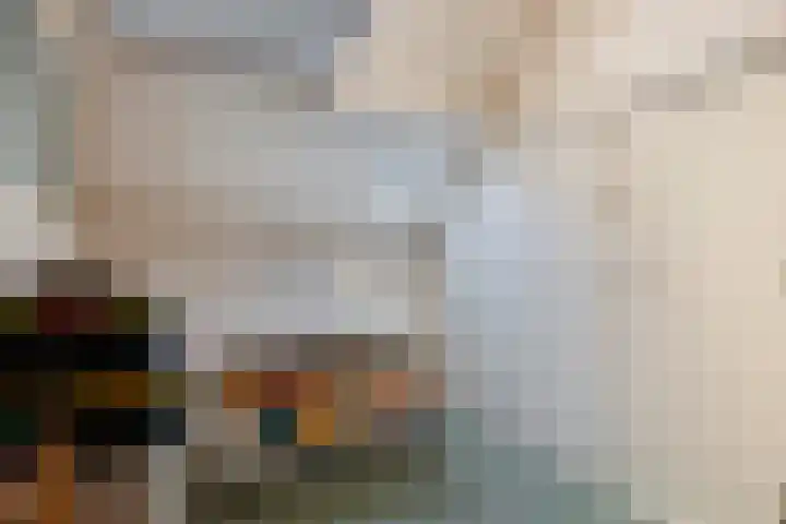 Het Frans Brugske 24 Gemert thumbnail 32