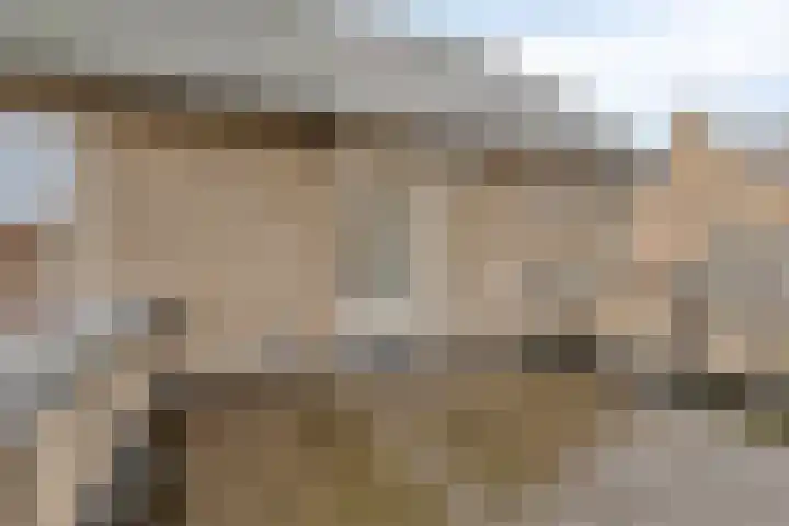 Het Frans Brugske 24 Gemert thumbnail 33