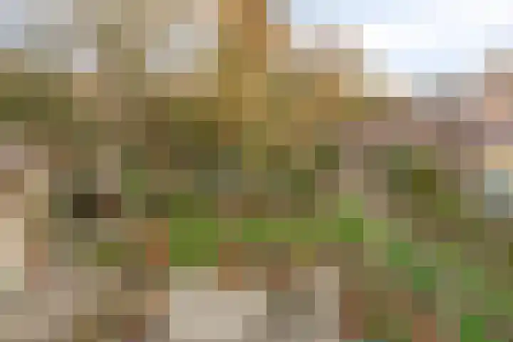 Het Frans Brugske 24 Gemert thumbnail 34