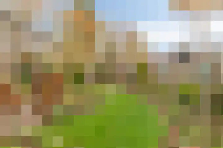 Het Frans Brugske 24 Gemert thumbnail 35