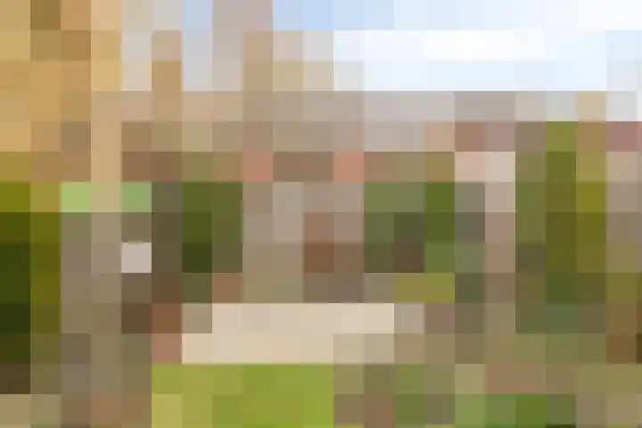 Het Frans Brugske 24 Gemert thumbnail 36