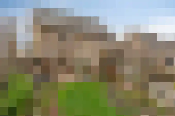 Het Frans Brugske 24 Gemert thumbnail 38