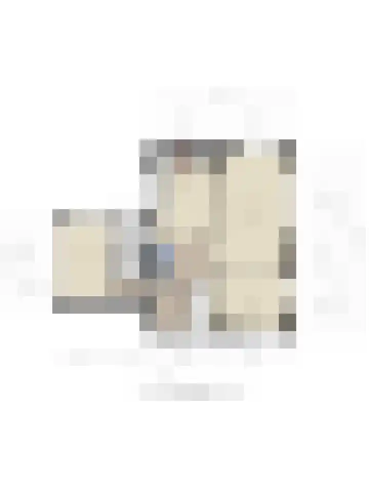 Het Frans Brugske 24 Gemert thumbnail 43