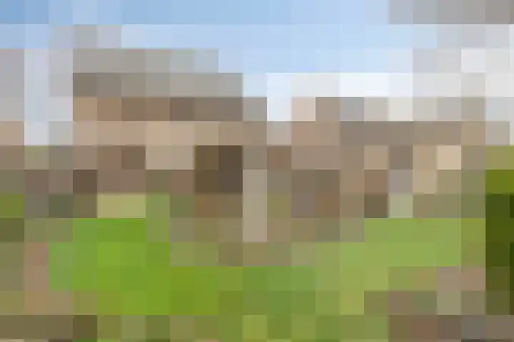 Het Frans Brugske 24 Gemert thumbnail 5