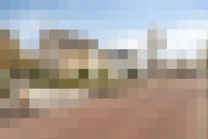Het Frans Brugske 24 Gemert thumbnail 8