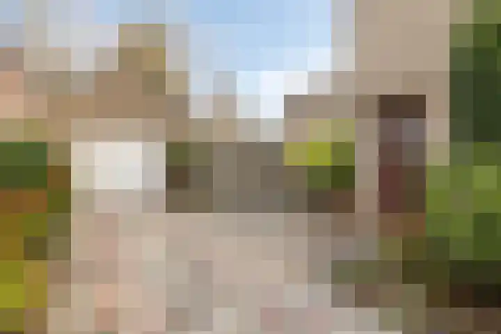 Het Frans Brugske 24 Gemert thumbnail 9