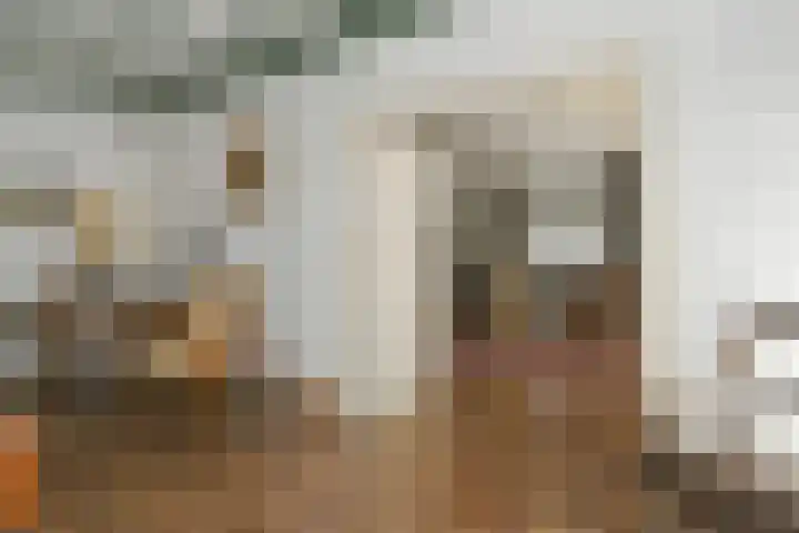 Het Frans Brugske 7 Gemert thumbnail 10