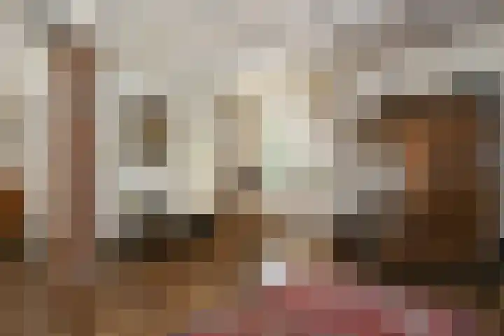 Het Frans Brugske 7 Gemert thumbnail 14