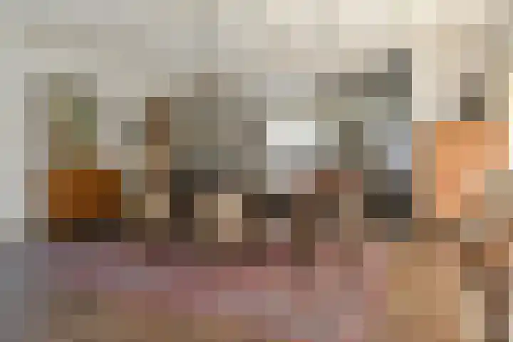 Het Frans Brugske 7 Gemert thumbnail 15