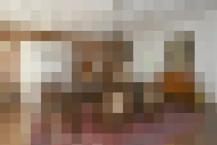 Het Frans Brugske 7 Gemert thumbnail 16