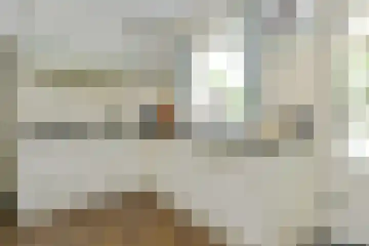 Het Frans Brugske 7 Gemert thumbnail 17