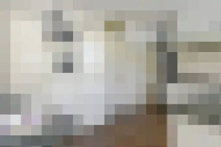 Het Frans Brugske 7 Gemert thumbnail 19