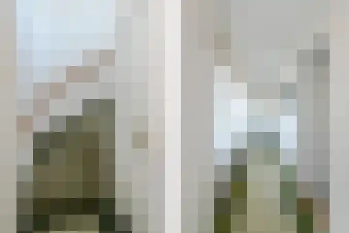 Het Frans Brugske 7 Gemert thumbnail 20